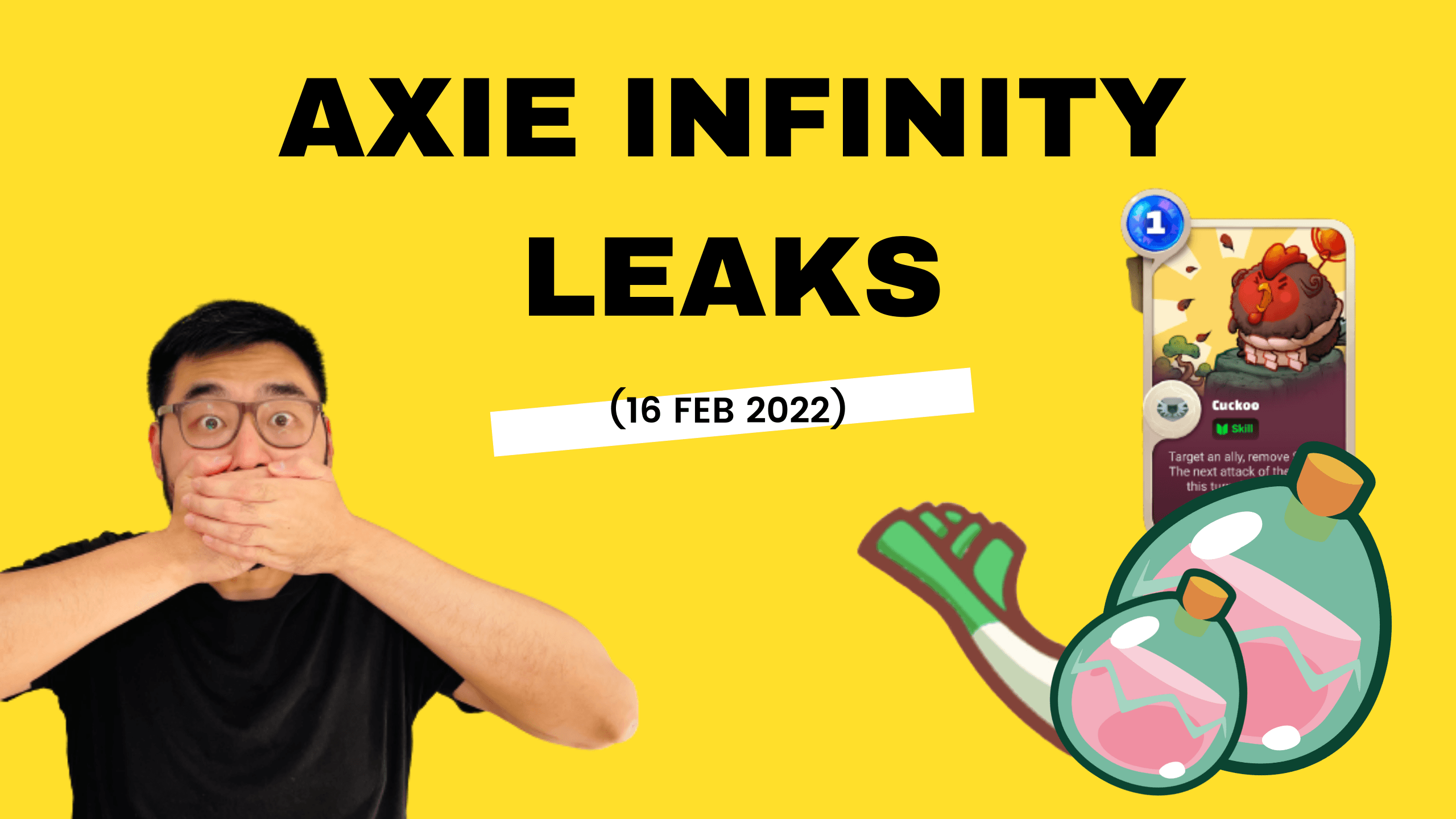 Axie Infinity Leaks (16 Feb 2022)